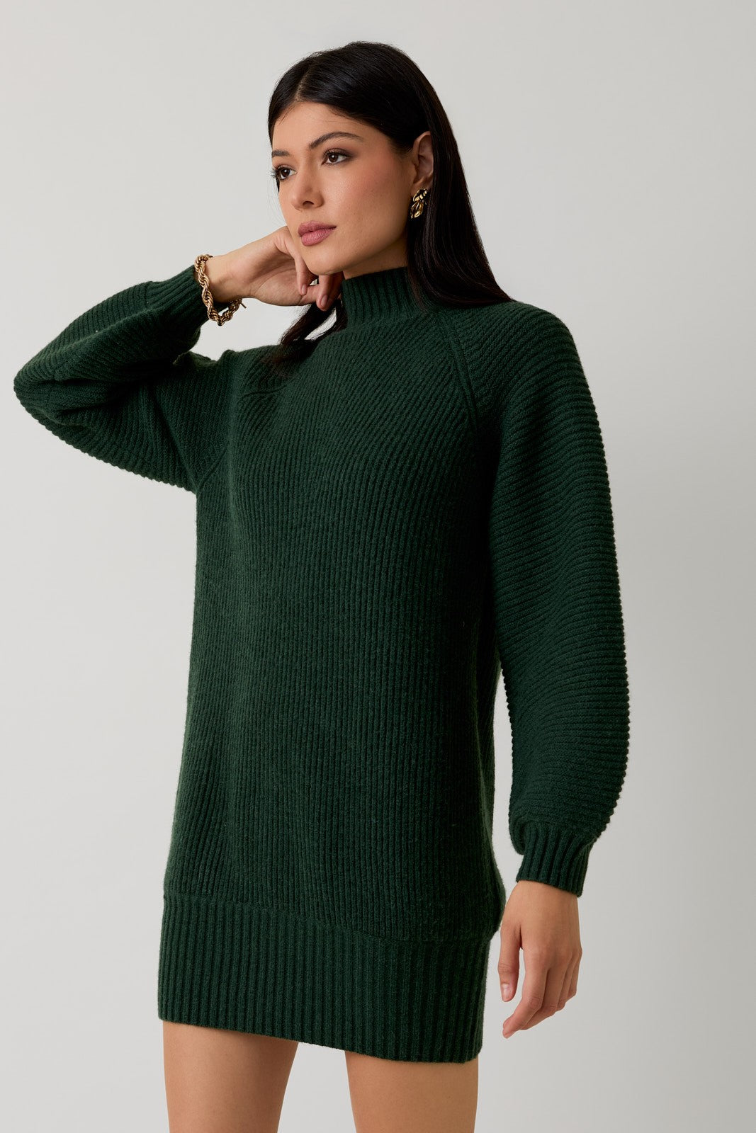 Hunter Green Mock Neck Cozy Sweater Dress
